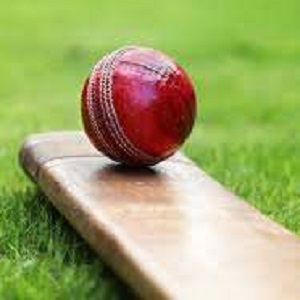 cricket tutorials